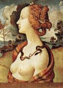 Portrait of Simonetta Vespucci, Piero di Cosimo